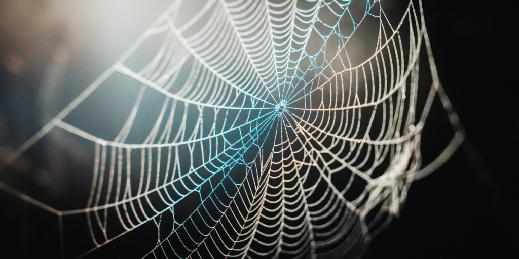 Polypropylene Webbing Applications
